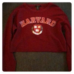 a cropped long sleeve shirt